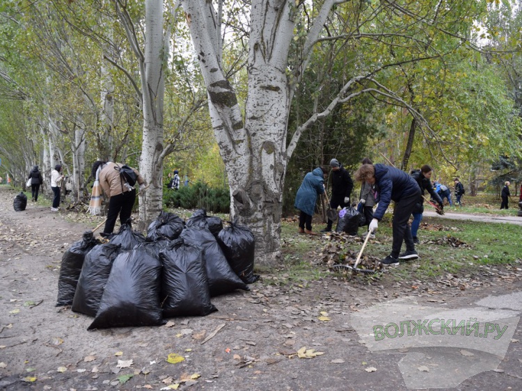С улиц Волжского вывезли тысячи кубометров листвы