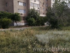 ��-�� ������� ����� �� ����� ������!