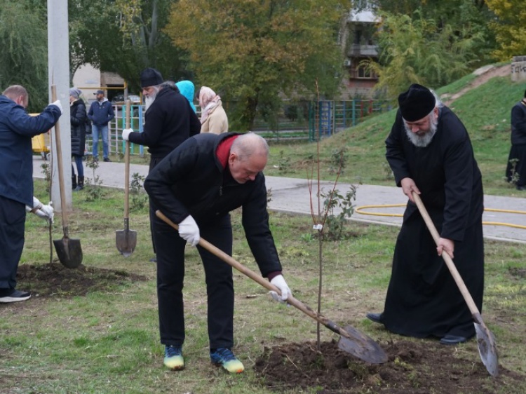 Мэр Волжского вместе с епископом Иоанном высадил деревья 44.197.108.169 