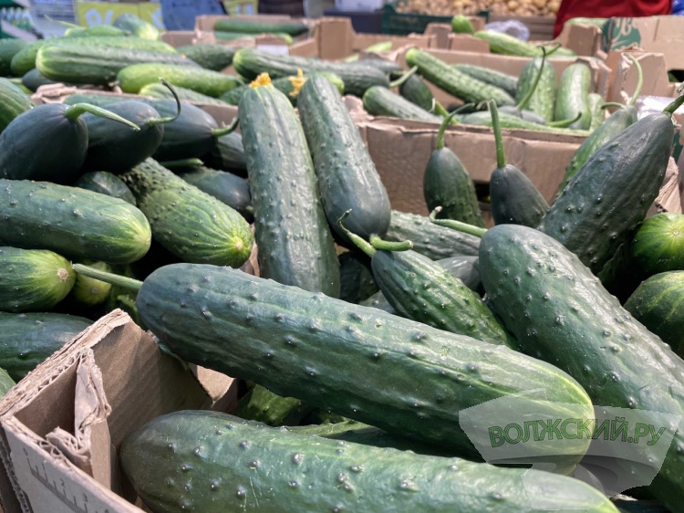В Волгоградской области собрали 50 тысяч тонн овощей