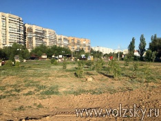 ���� ������ �����: ������������� �� � ���� ���������