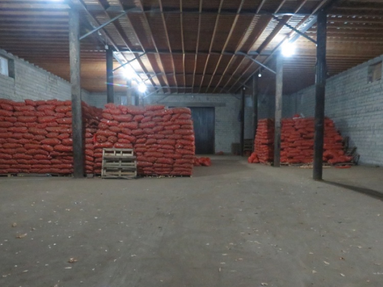 Под Волгоградом из фермерского хозяйства украли 7 тонн лука 18.206.14.36 