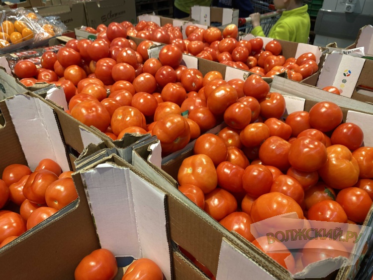В магазины Волгоградской области поступило 1,3 тысячи тонн местных томатов и огурцов