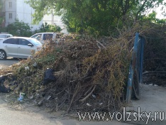 �� �� ������� ��������� �����