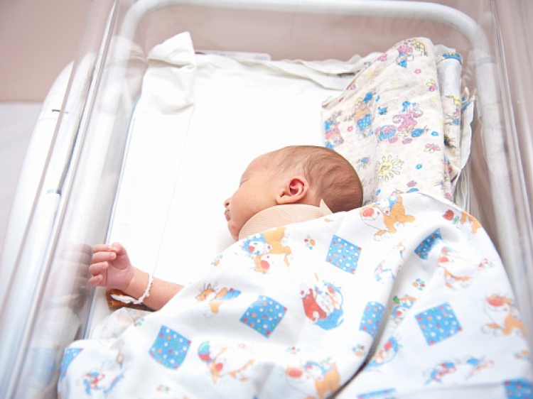 В Волгоградской области благодаря ЭКО родилось 13 двойняшек 3.80.4.147 