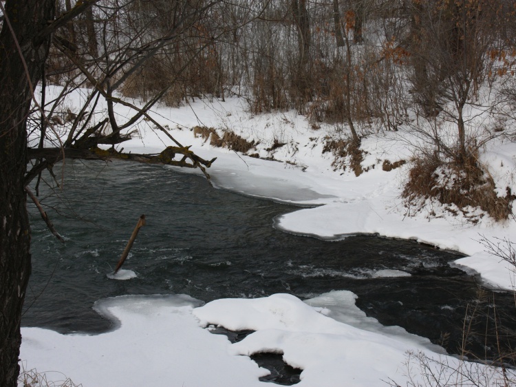 В регионе обследуют реки в паводкоопасных районах 3.238.180.255 
