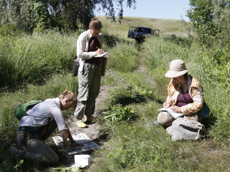 В Волгоградской области московские специалисты нашли новый вид растений 44.200.175.255 