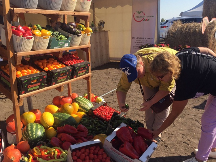 В Волгоградской области собрали свыше 100 тысяч тонн овощей 100.25.42.211 