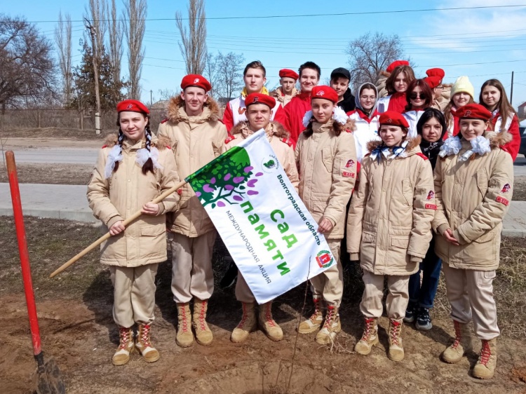 В Волгоградской области в честь героев ВОВ высадят 600 тысяч деревьев 3.238.72.122 