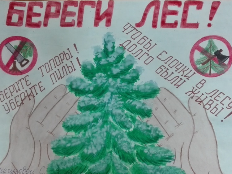 В Волгоградской области задумались о профилактике вырубки елей и сосен
