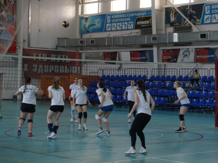 В Волжском хотят создать областную школу волейбола 3.93.74.25 