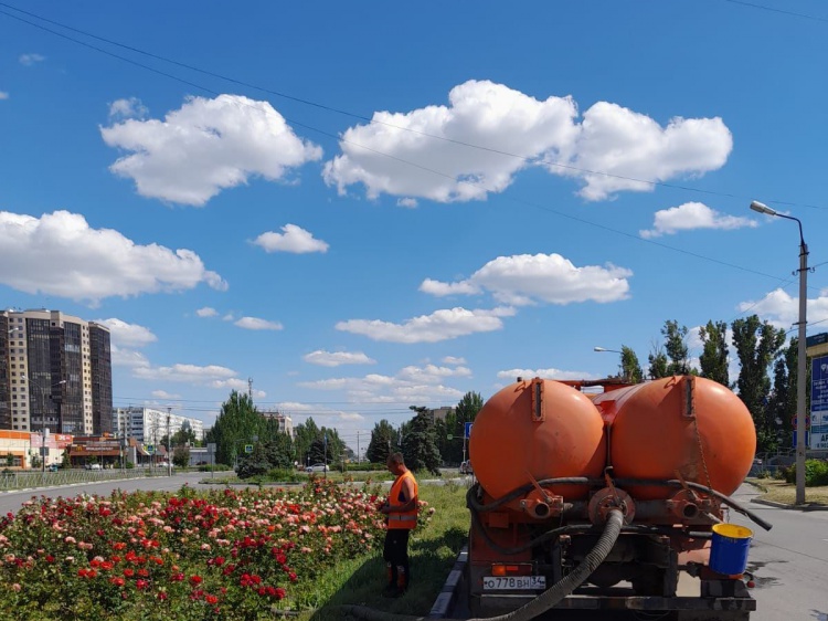 В Волжском напротив ЦУМа высадили 1,4 тысячи роз