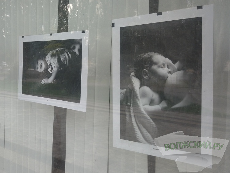 В Волжском открылась фотовыставка семейной фотографии