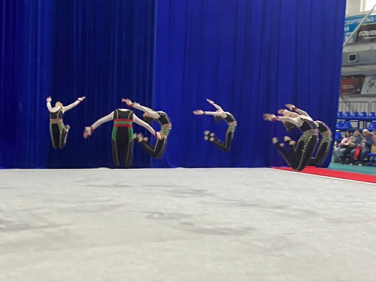 В Волжском прошёл чемпионат по эстетической гимнастике