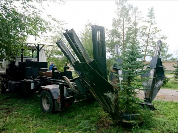 В Волжском высадили ещё 500 деревьев и кустарников