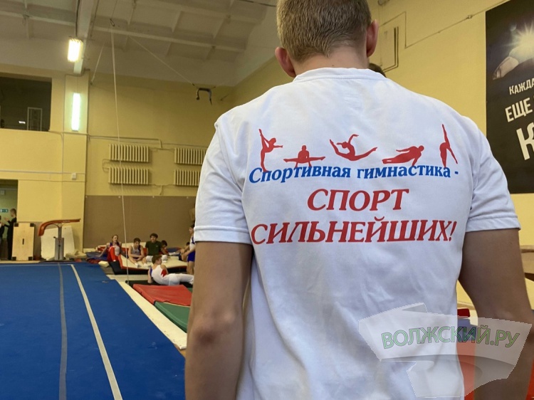 Волжские гимнасты завоевали 6 медалей Всероссийских соревнований 3.80.4.147 