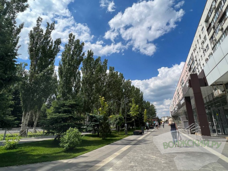 Полив на общественных пространствах обойдется городу в 1,2 миллиона рублей