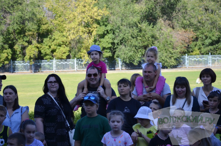 ������, ������ � ������� ����: ��� ��������� ���������� ����� ����������� �������� ��� ����������