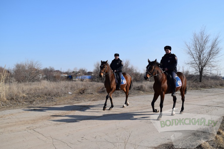«Лошадь – лучший психолог»: сотрудницы полицейской кавалерии рассказали о своей работе
