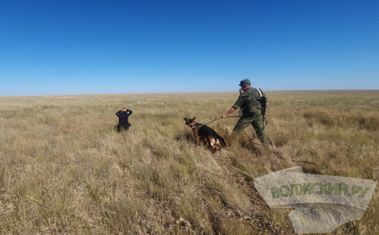 На границе региона  с Казахстаном нарушителей погранрежима искали с помощью дронов