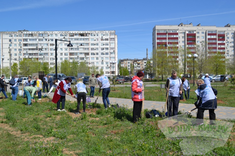 «Оазис в степи»: Волжский абразивный завод высадил 100 тополей в парке «Новый город»