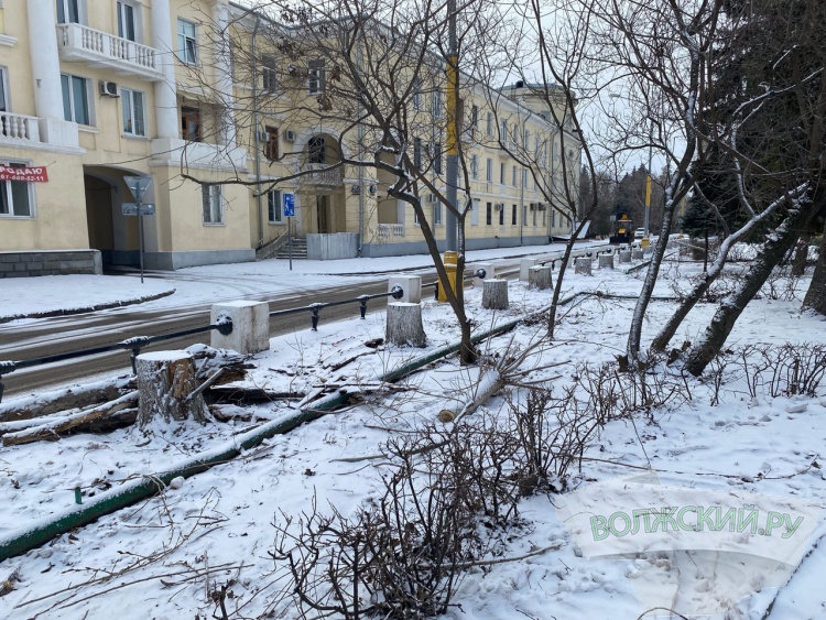 В Волжском дровосеки опустошили «Фонтанку» и проредили площадь у мэрии