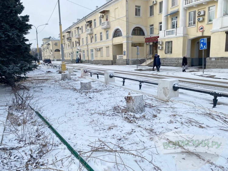 В Волжском дровосеки опустошили «Фонтанку» и проредили площадь у мэрии