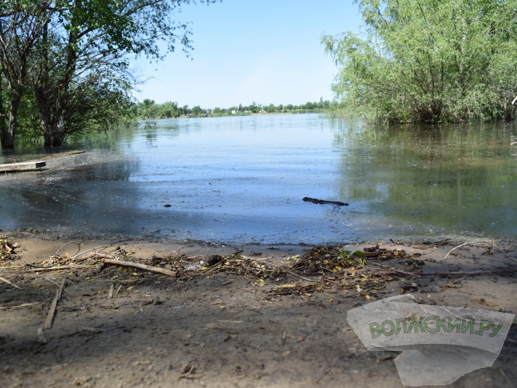 В Волгоградской области водоёмы проверяют на холеру 18.206.194.21 