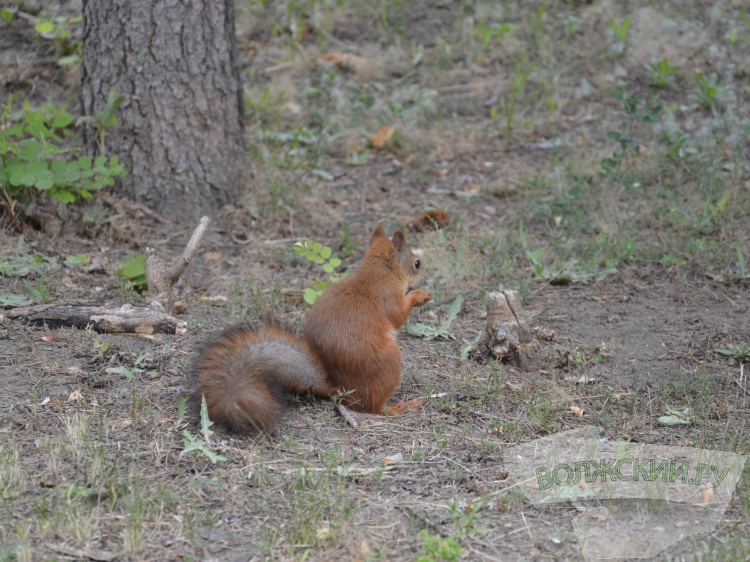 ������� ��� ����: � ��������� ����� ��������� ������� ��������� ����� 