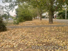 ������� ��������