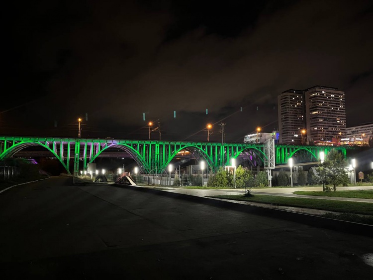 Экофлешмоб: в регионе подсветили зеленым цветом мост и колесо обозрения