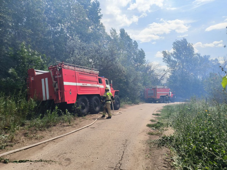Из-за степного пожара эвакуируют летний лагерь «Орленок на Ахтубе» 3.236.46.172 