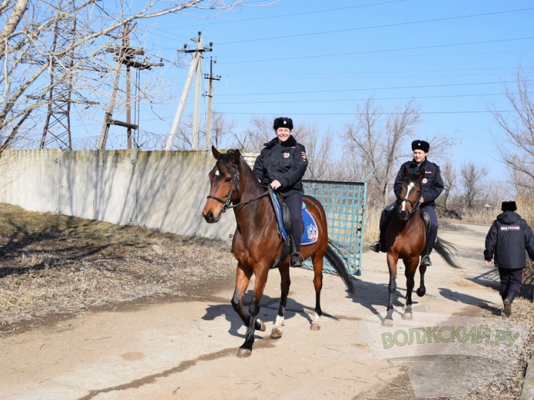 «Лошадь – лучший психолог»: сотрудницы полицейской кавалерии рассказали о своей работе