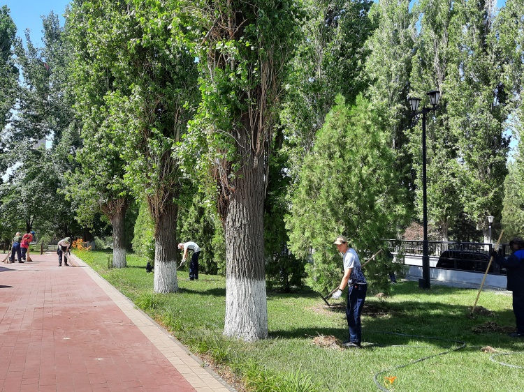 Подросткам Волгоградской области помогают найти работу на лето 44.212.96.86 