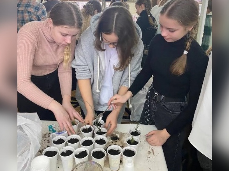 Школьники ищут оптимальные для Волжского растения и способы их выращивания