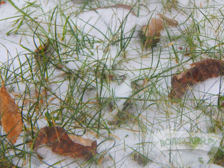 ��������� �� -3 �������� ������� ������������� ������� 