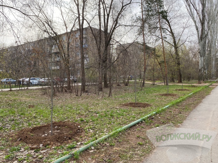 Сотни жителей Волжского все выходные сажали деревья 34.229.131.158 