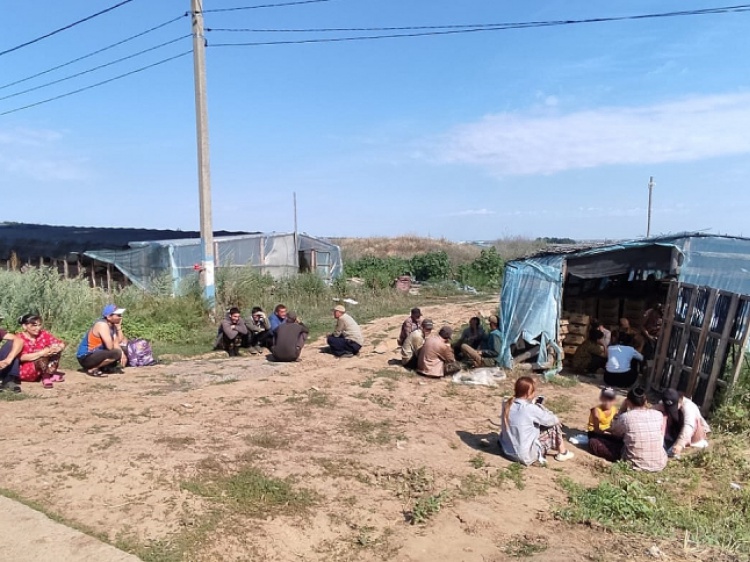 В Волгоградской области ищут работников-нелегалов и их работодателей