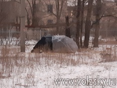 ������� ��������� ������ �������� ���� ��������� �����