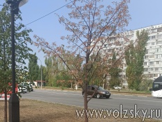 �������� �������