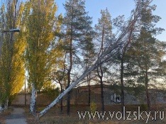 ���� ������, �������?!.�