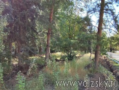 ������� ��������