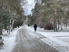 ������ ��� ���������