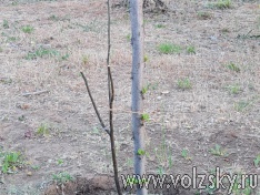 ������������ ���� � �����