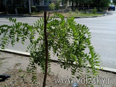 ���������� �������!