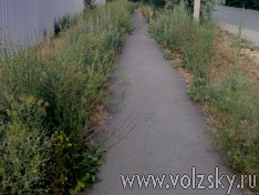 ����������� ������� ������