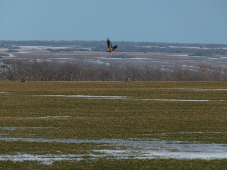 ������������� ������� ���������� ��� ������ ������ ������� 