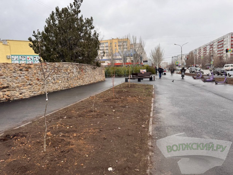 �����, ����������� ���� � �������� ���������: � �������� �������� ���������� ����� ����������� �� ����