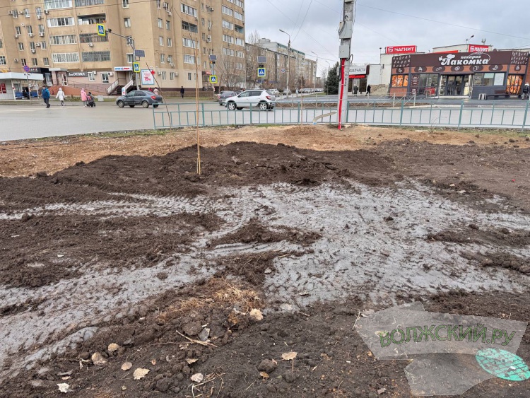 �����, ����������� ���� � �������� ���������: � �������� �������� ���������� ����� ����������� �� ����