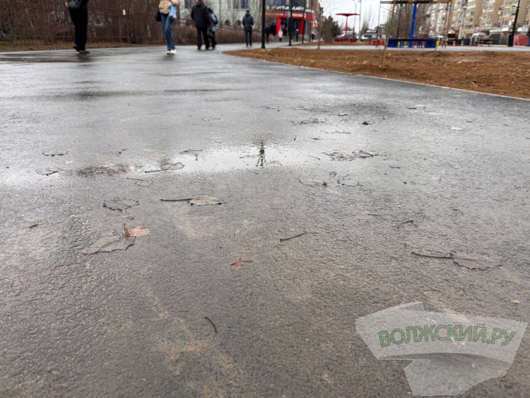 �����, ����������� ���� � �������� ���������: � �������� �������� ���������� ����� ����������� �� ����